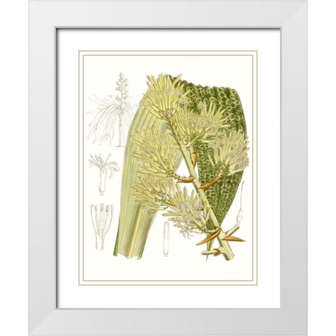 Palm Melange VI White Modern Wood Framed Art Print with Double Matting by Curtis
