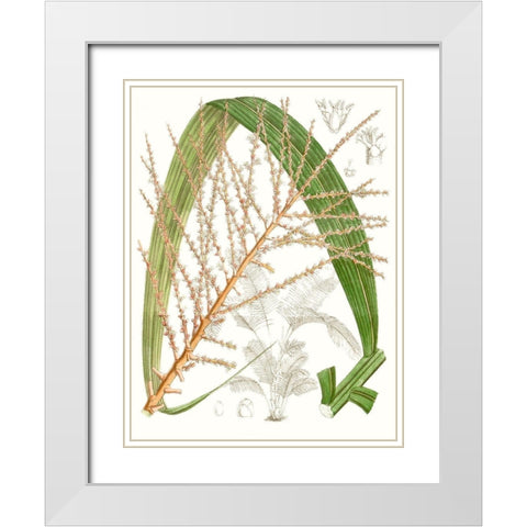 Palm Melange VII White Modern Wood Framed Art Print with Double Matting by Curtis