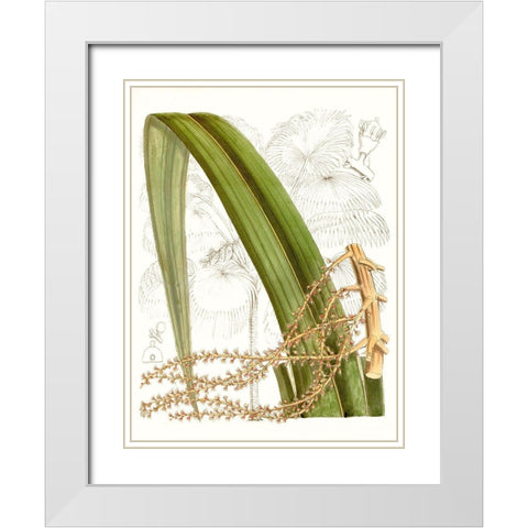 Palm Melange VIII White Modern Wood Framed Art Print with Double Matting by Curtis