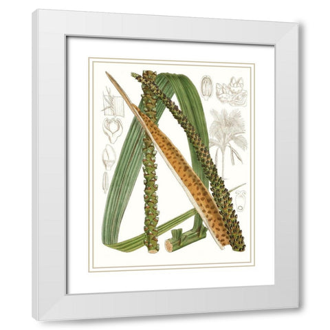 Palm Melange IX White Modern Wood Framed Art Print with Double Matting by Curtis