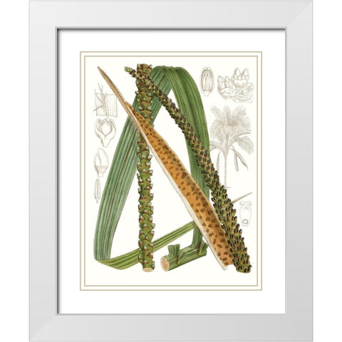 Palm Melange IX White Modern Wood Framed Art Print with Double Matting by Curtis