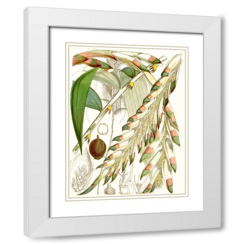 Tropical Variety I White Modern Wood Framed Art Print with Double Matting by Curtis
