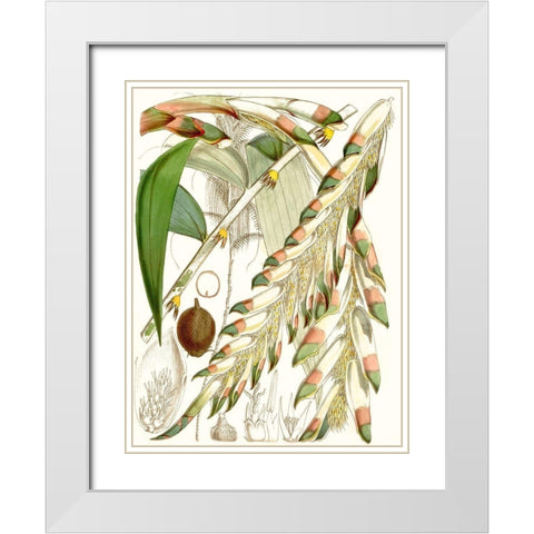 Tropical Variety I White Modern Wood Framed Art Print with Double Matting by Curtis