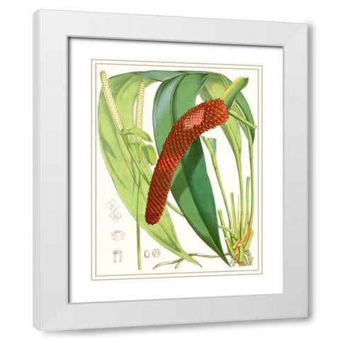 Tropical Variety V White Modern Wood Framed Art Print with Double Matting by Curtis