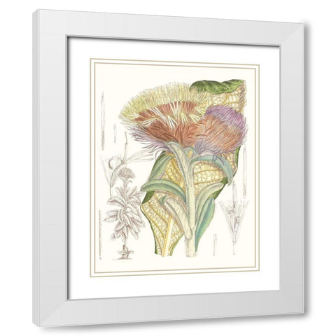 Tropical Variety IX White Modern Wood Framed Art Print with Double Matting by Curtis