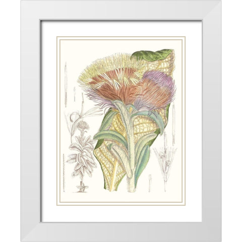 Tropical Variety IX White Modern Wood Framed Art Print with Double Matting by Curtis