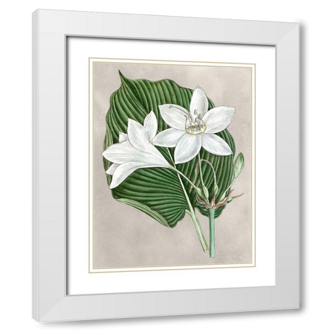 Alabaster Blooms III White Modern Wood Framed Art Print with Double Matting by Curtis