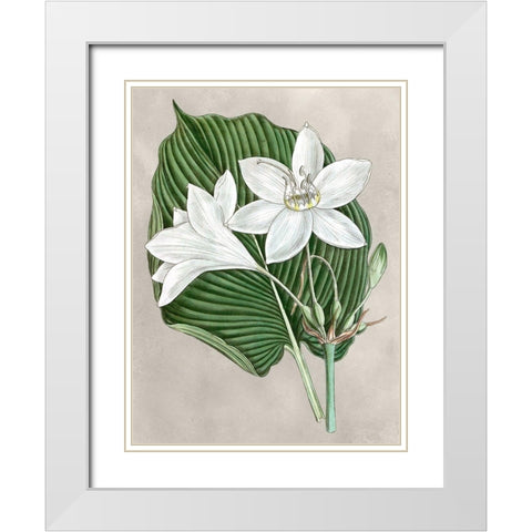 Alabaster Blooms III White Modern Wood Framed Art Print with Double Matting by Curtis