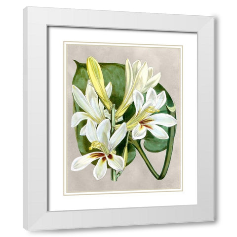 Alabaster Blooms IV White Modern Wood Framed Art Print with Double Matting by Curtis