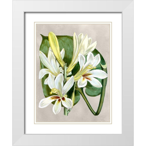 Alabaster Blooms IV White Modern Wood Framed Art Print with Double Matting by Curtis