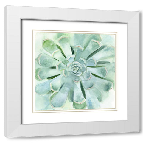 Verdant Succulent IV White Modern Wood Framed Art Print with Double Matting by Borges, Victoria