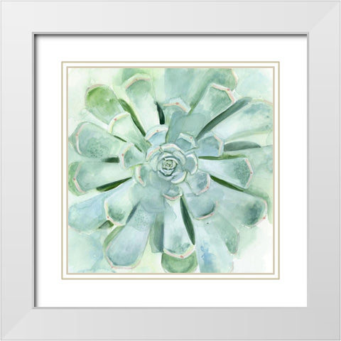 Verdant Succulent IV White Modern Wood Framed Art Print with Double Matting by Borges, Victoria