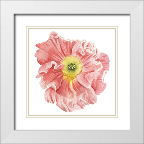 Market Poppy I White Modern Wood Framed Art Print with Double Matting by Popp, Grace