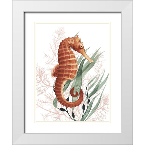 Seahorse Treasures I White Modern Wood Framed Art Print with Double Matting by Popp, Grace