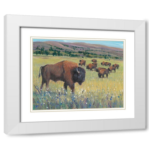 Animals of the West I White Modern Wood Framed Art Print with Double Matting by OToole, Tim