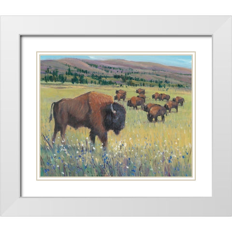 Animals of the West I White Modern Wood Framed Art Print with Double Matting by OToole, Tim