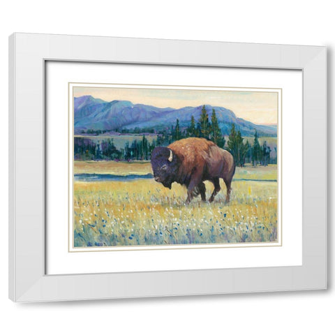 Animals of the West II White Modern Wood Framed Art Print with Double Matting by OToole, Tim