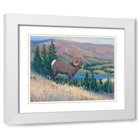 Animals of the West III White Modern Wood Framed Art Print with Double Matting by OToole, Tim