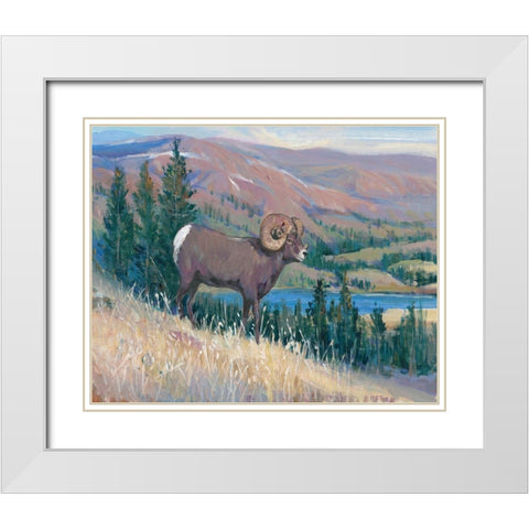 Animals of the West III White Modern Wood Framed Art Print with Double Matting by OToole, Tim