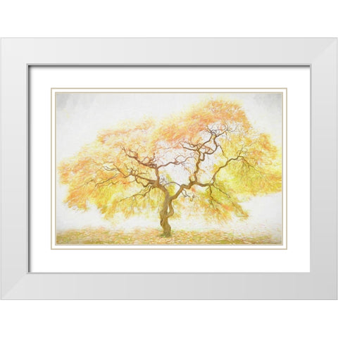 Golden Tree White Modern Wood Framed Art Print with Double Matting by PHBurchett