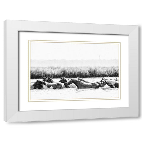 Water Horses III White Modern Wood Framed Art Print with Double Matting by PHBurchett