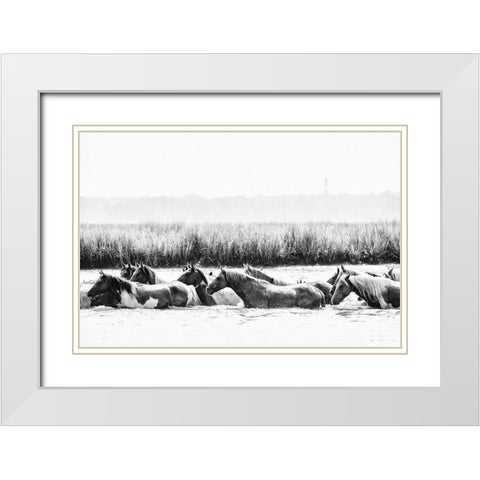 Water Horses III White Modern Wood Framed Art Print with Double Matting by PHBurchett