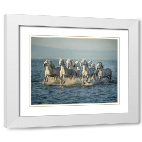Water Horses VI White Modern Wood Framed Art Print with Double Matting by PHBurchett