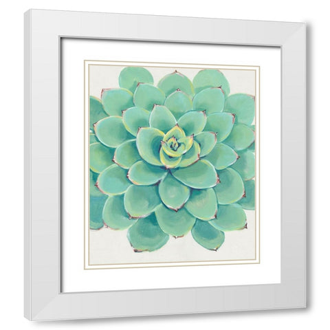 Pastel Succulent III White Modern Wood Framed Art Print with Double Matting by OToole, Tim