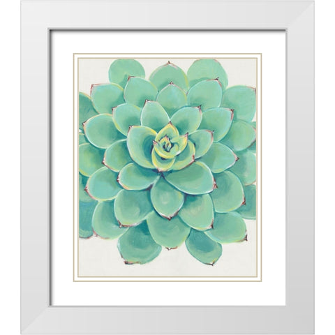 Pastel Succulent III White Modern Wood Framed Art Print with Double Matting by OToole, Tim