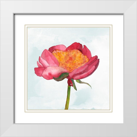 Joyful Peony II White Modern Wood Framed Art Print with Double Matting by Ludwig, Alicia