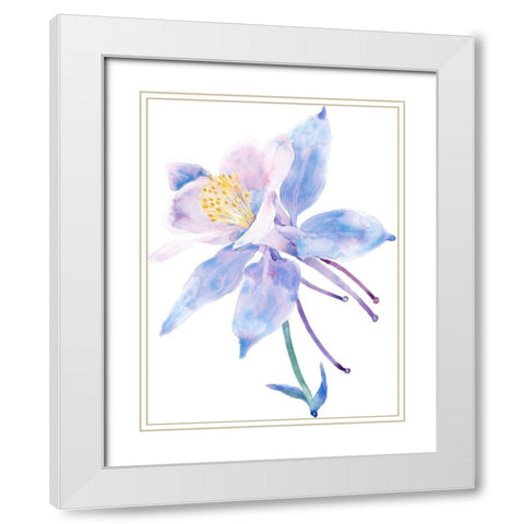 Columbine Bloom II White Modern Wood Framed Art Print with Double Matting by Tim OToole