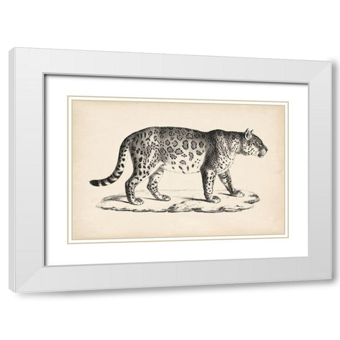 Brodtmann Male Leopard White Modern Wood Framed Art Print with Double Matting by Brodtmann