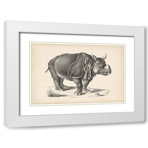 Brodtmann Rhinoceros White Modern Wood Framed Art Print with Double Matting by Brodtmann