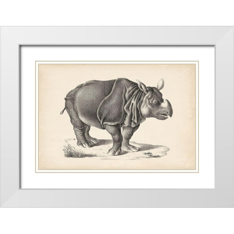 Brodtmann Rhinoceros White Modern Wood Framed Art Print with Double Matting by Brodtmann