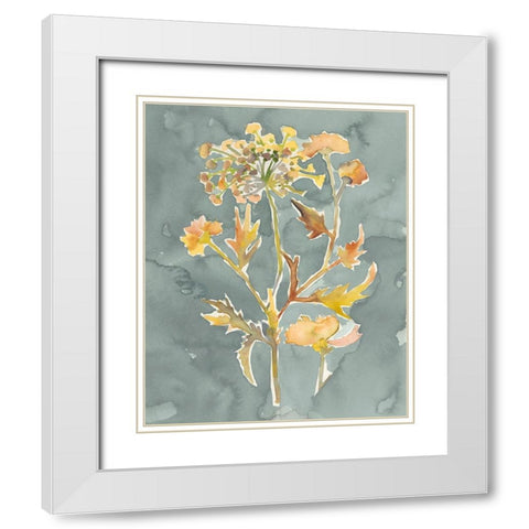 Collected Florals I White Modern Wood Framed Art Print with Double Matting by Zarris, Chariklia