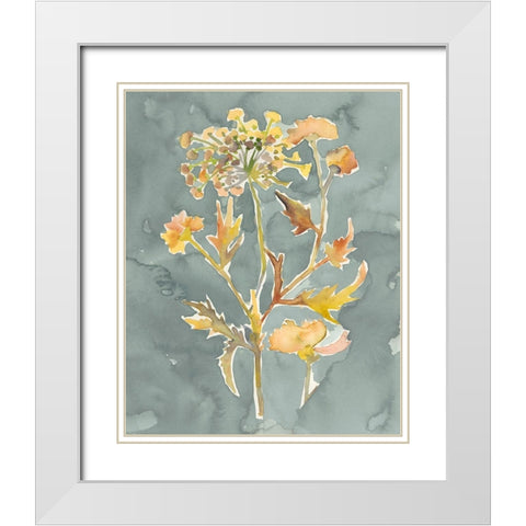 Collected Florals I White Modern Wood Framed Art Print with Double Matting by Zarris, Chariklia