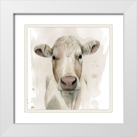 Prairie Bovine II White Modern Wood Framed Art Print with Double Matting by Popp, Grace