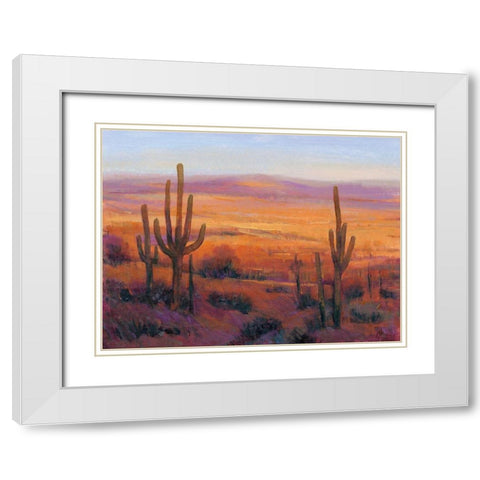 Desert Light II White Modern Wood Framed Art Print with Double Matting by OToole, Tim