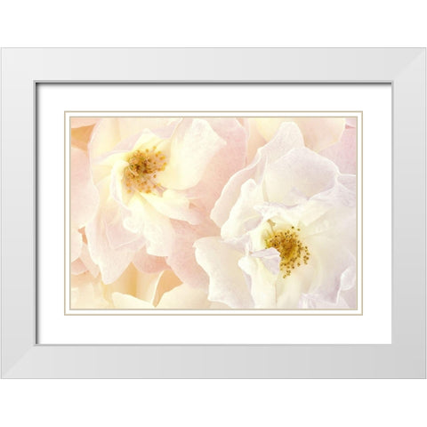 Pink Blossoms II White Modern Wood Framed Art Print with Double Matting by Zalewski, Christine