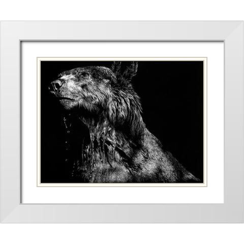 Ursa Major White Modern Wood Framed Art Print with Double Matting by Chapman, Julie T.