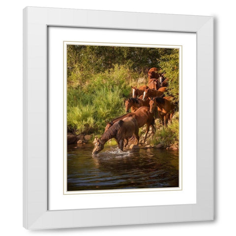 River Horses I White Modern Wood Framed Art Print with Double Matting by PHBurchett