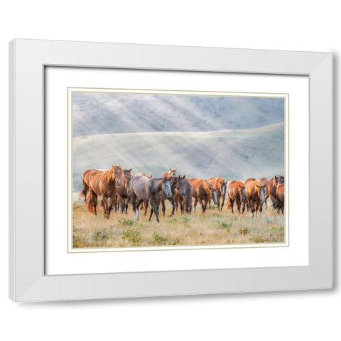 Sunkissed Horses III White Modern Wood Framed Art Print with Double Matting by PHBurchett