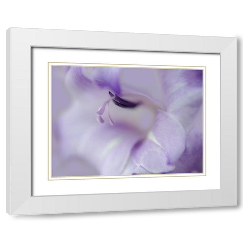 A Gift in Purple I White Modern Wood Framed Art Print with Double Matting by Hunt, Gillian