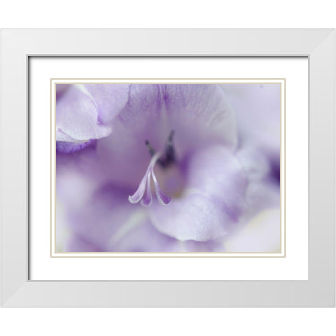 A Gift in Purple II White Modern Wood Framed Art Print with Double Matting by Hunt, Gillian