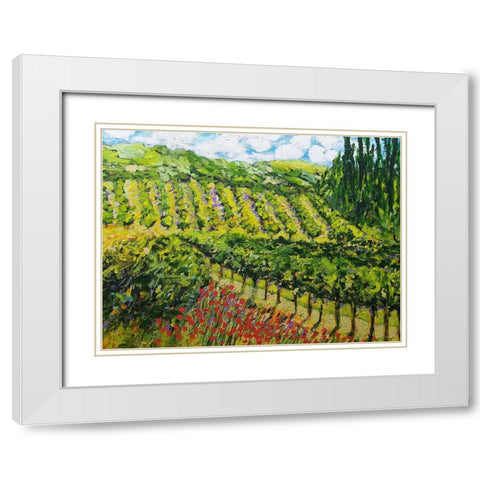 Mountain Vineyard White Modern Wood Framed Art Print with Double Matting by Friedlander, Allan