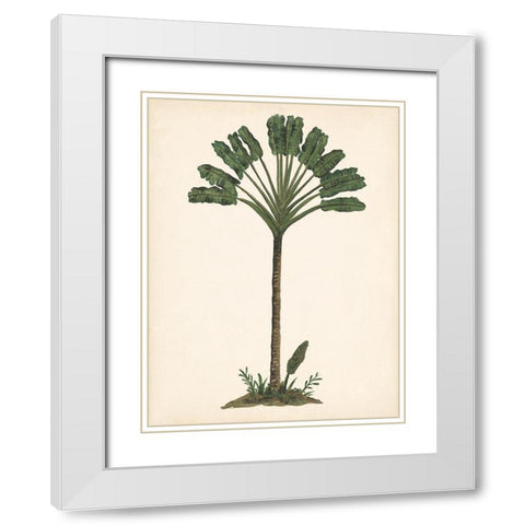 Palm Tree Study I White Modern Wood Framed Art Print with Double Matting by Wang, Melissa