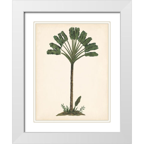 Palm Tree Study I White Modern Wood Framed Art Print with Double Matting by Wang, Melissa