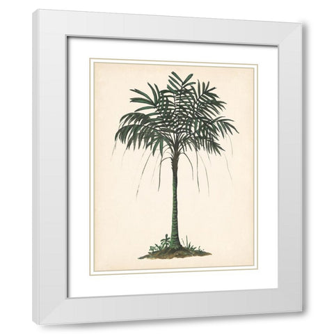 Palm Tree Study II White Modern Wood Framed Art Print with Double Matting by Wang, Melissa