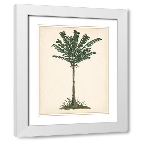 Palm Tree Study IV White Modern Wood Framed Art Print with Double Matting by Wang, Melissa
