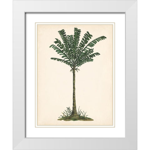 Palm Tree Study IV White Modern Wood Framed Art Print with Double Matting by Wang, Melissa